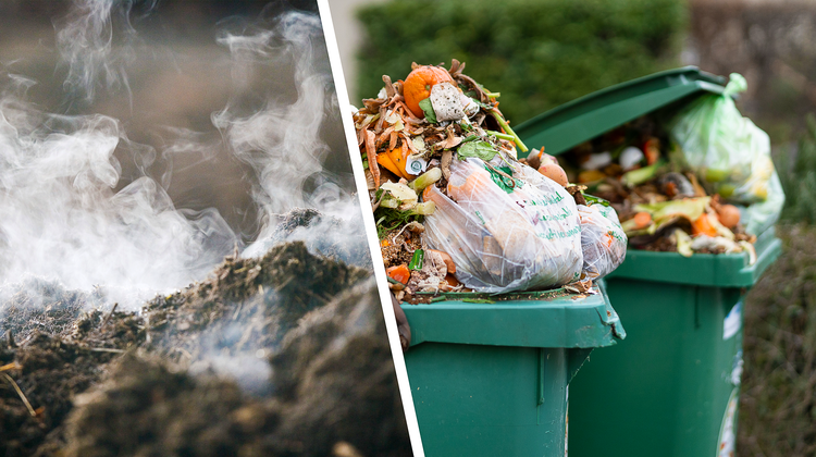 Dampfendes Kompostsubstrat wird in einer Kompostierungshalle gelagert. (Martin Rütschi/Keystone)
