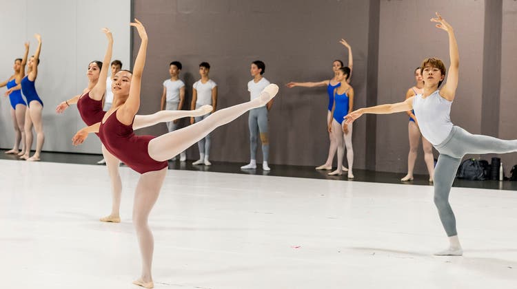 Die Profiausbildung an der Ballettschule in Basel wird es nur noch bis Ende Schuljahr geben. (Archivbild: Kenneth Nars)