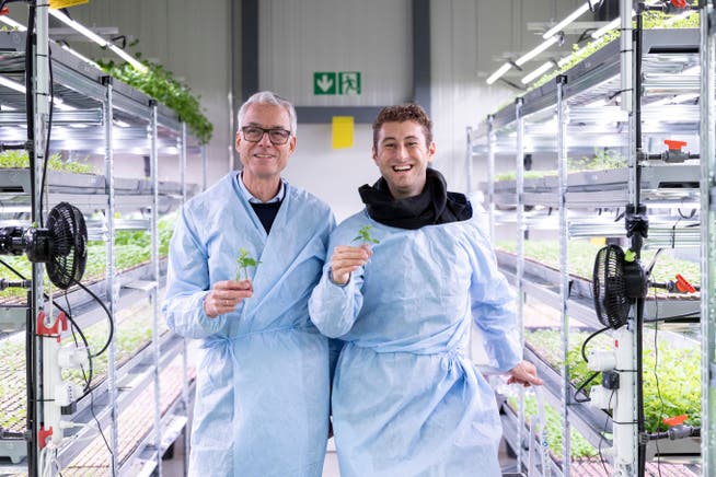 Bald soll es in Schlieren grüner werden: Martin Geistlich von der Geistlich Immobilia AG und Mark Zahran, Yasai-CEO, in der Vertical Farm von Yasai in Niederhasli.