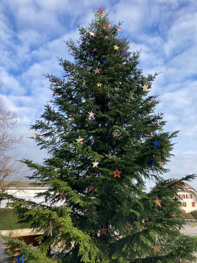 Der mit Holzsternen geschmückte Weihnachtsbaum in Selzach.