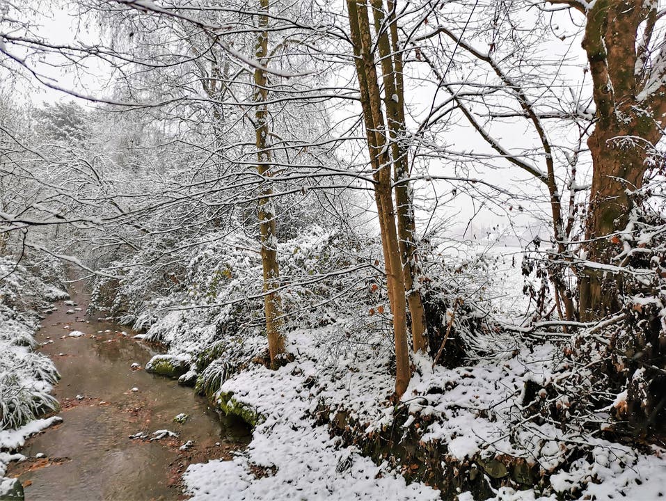 Traumhaftes Winterwunderland: Frau Holle hat es jetzt auch im Flachland schneien lassen.