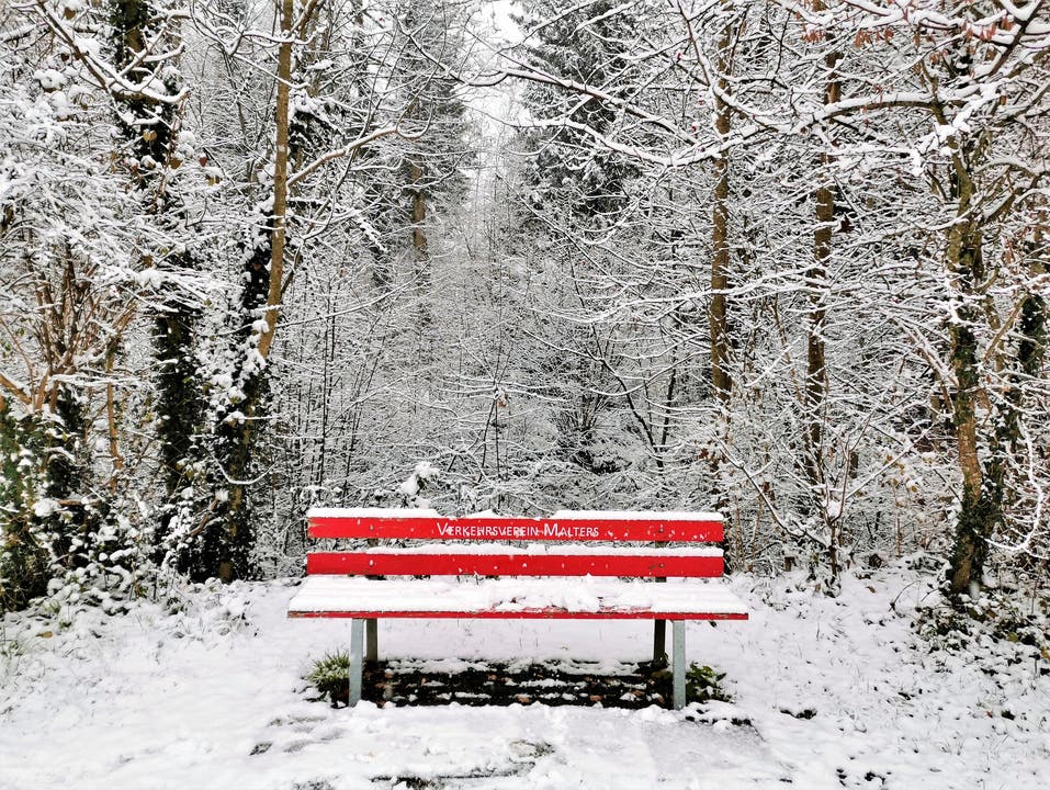 Der erste Schnee im Flachland: Traumhaftes Winterwunderland, fotografiert in Malters. 