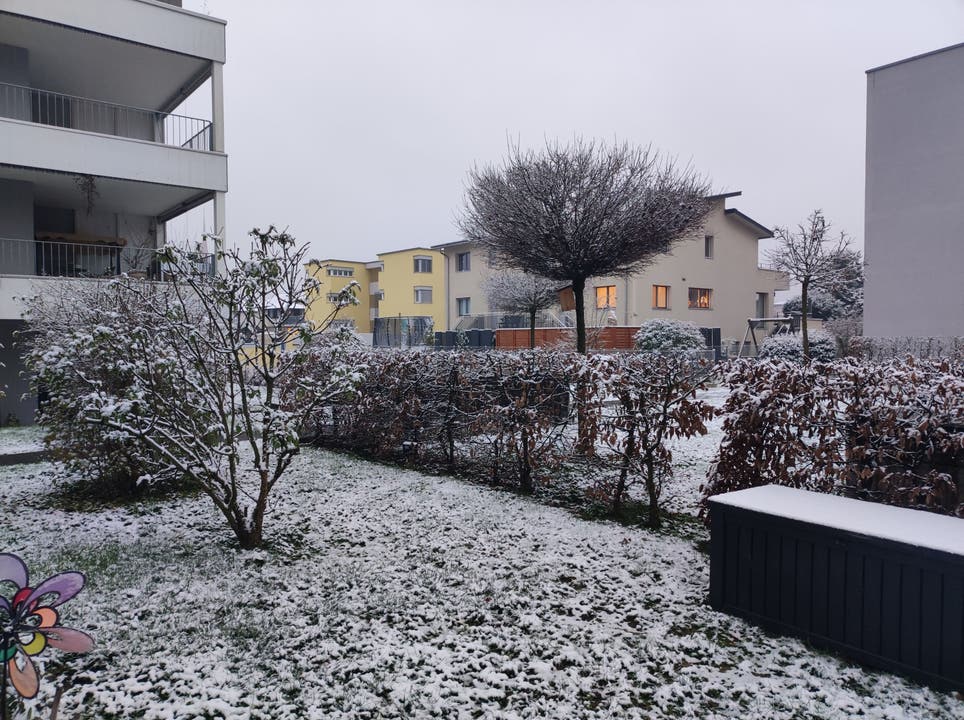 Ein winterlicher Vorgarten in Bremgarten.