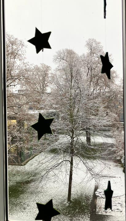 Weihnachts-Sterne am Fenster an der Sternmattstrasse.