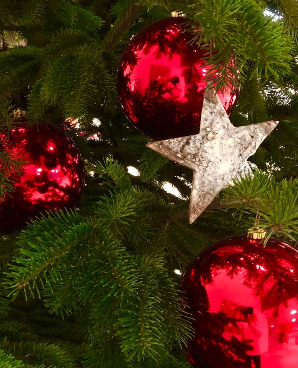 Weihnachtliche Tannenbaumdekoration bringt wohlige Atmosphäre und Weihnachtsvorfreude in jedes Haus.