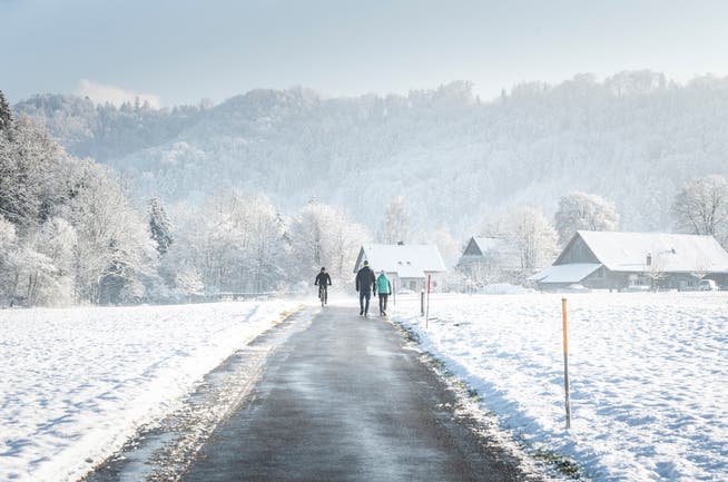 Kurz vor Mitte Dezember gab es im Flachland den ersten Schnee des Jahres. 