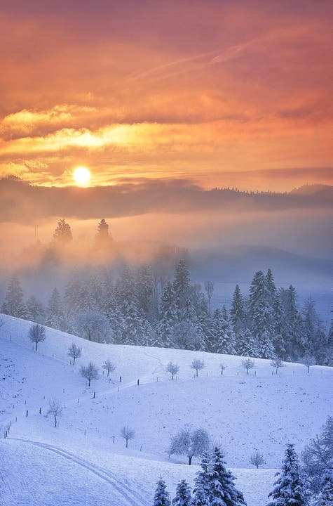 3.Advents-Sonntag, eisig kalter und dennoch feuriger Sonnenuntergang im Hügelland.