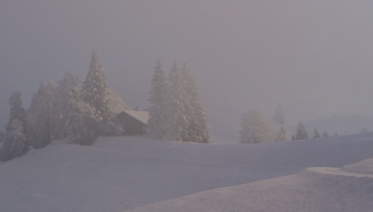 Ein hauch Nebel macht die Winterlandschaft zu einem Gemälde.