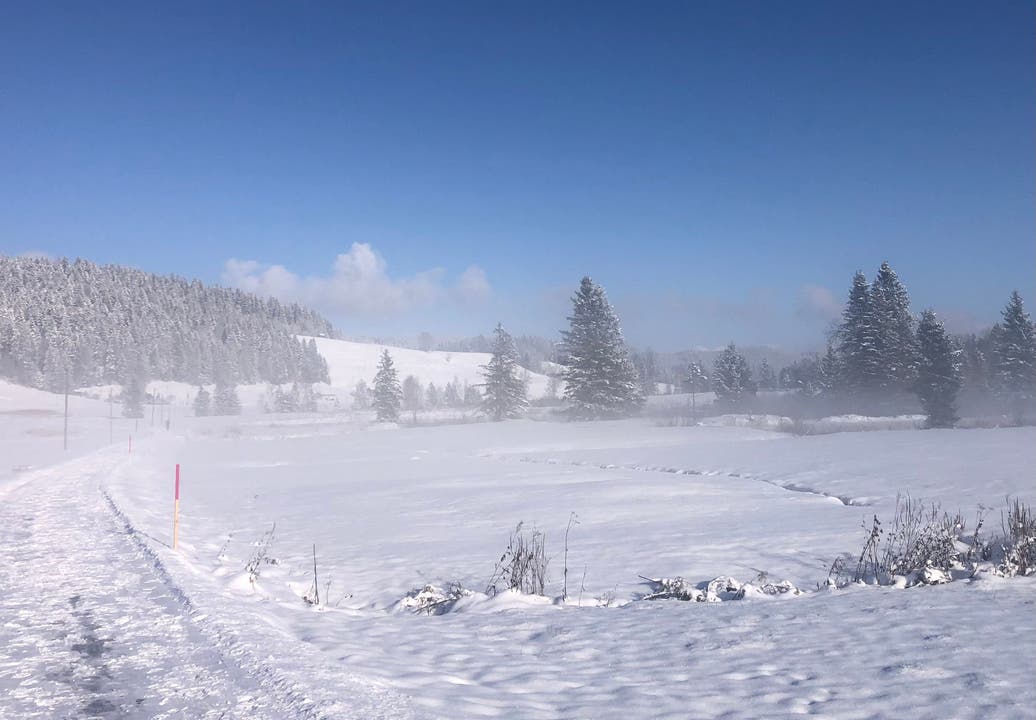 Winterstimmung über dem Hochmoor.
