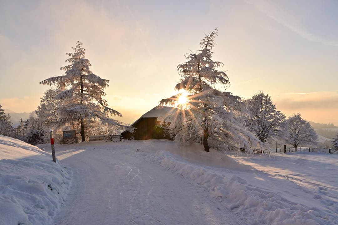 Märchenhafte Winterlandschaft.