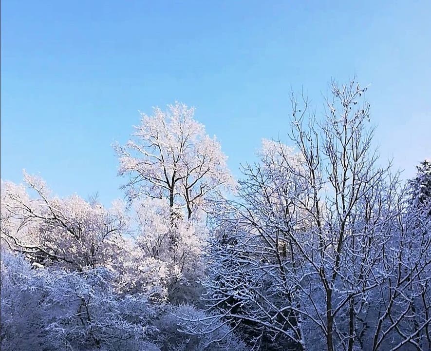 Wunderschöner Wintertag.