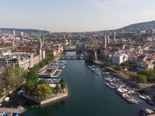 Zwei Initiativen verlangen mehr Bäume und mehr Grünflächen in der Stadt Zürich.