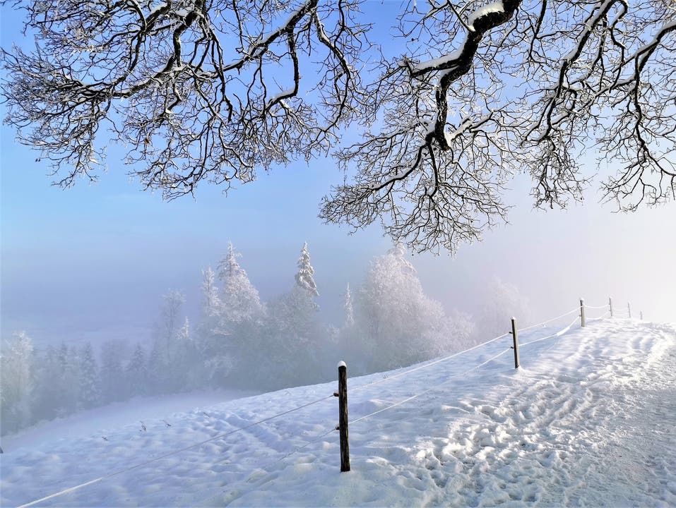 Mystische Winterstimmung im zauberhaften Winterwunderland.