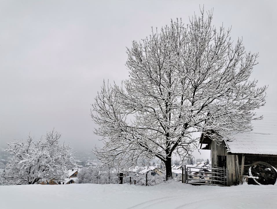 Die Naturlandschaft präsentiert sich in einem zauberhaften Winterkleid.