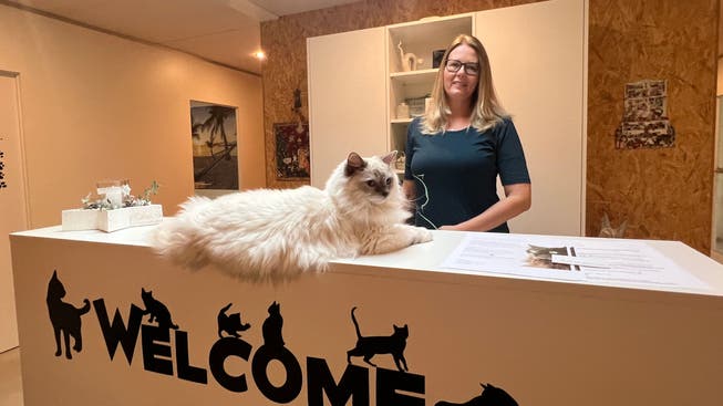 Nicole Frei führt das «Deluxe Katzenhotel» seit knapp fünf Jahren. Seit November 2022 ist sie in Reinach.