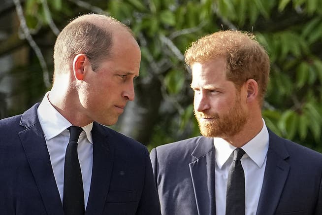 Die Brüder William und Harry an der Beerdigung der Queen im September.