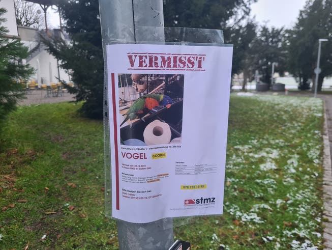 Eines der Flugblätter befindet sich am Weg, der zwischen der Beruffschule und der Militärkantine verläuft.
