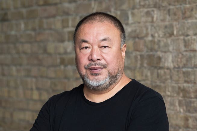 Ai Weiweis Werke erregen internationale Aufmerksamkeit, weil er sich nicht scheut, offen Kritik an der chinesischen Politik zu üben.
