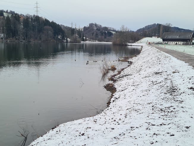 Am Gübsensee wurden in diesem Winter zahlreiche Hecken gerodet. Als Ersatz ist eine Blumenwiese geplant.