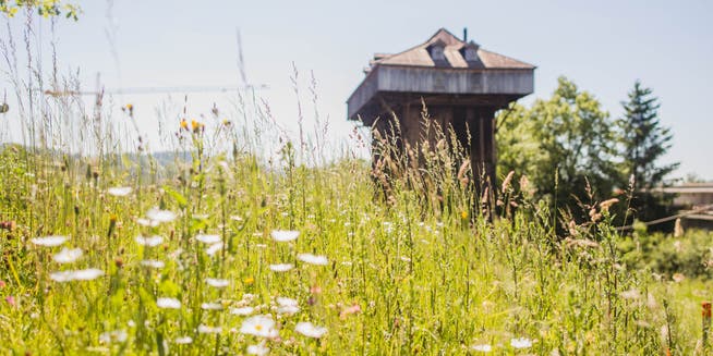 Der Tröckneturm am Burgweier stammt aus der Blütezeit der sankgallischen Textilindustrie.