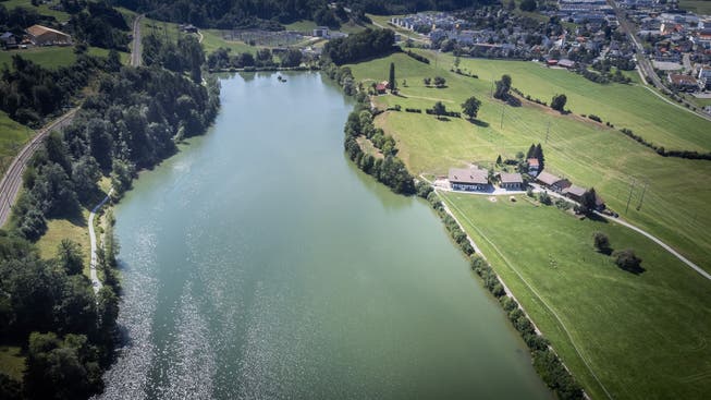 Auf dem Naturdamm im Norden (rechts im Bild) und jenem im Westen (oben im Bild) standen im Sommer noch reichlich Hecken.