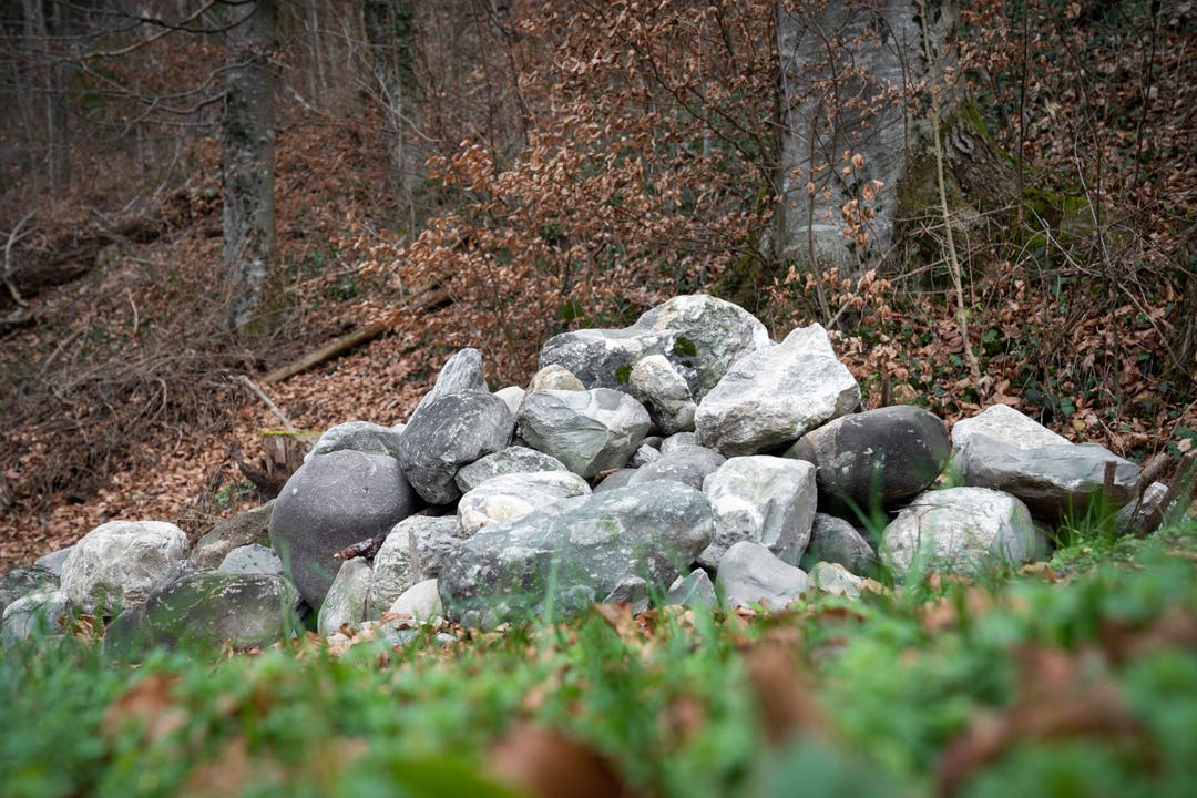 In solchen Steinhaufen leben Ringelnattern. Natürlich nur, wenn es warm genug und sonnig ist.