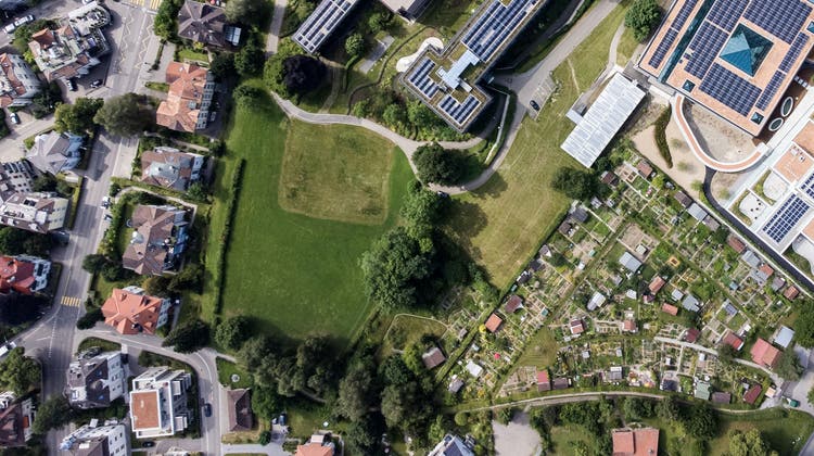 Die Helvetia will ihre Landreserve in Rotmonten überbauen – die letzte grosse Wiese. Geplant sind fünf Häuser mit 39 Wohnungen und Büros. (Bild: Michel Canonica)