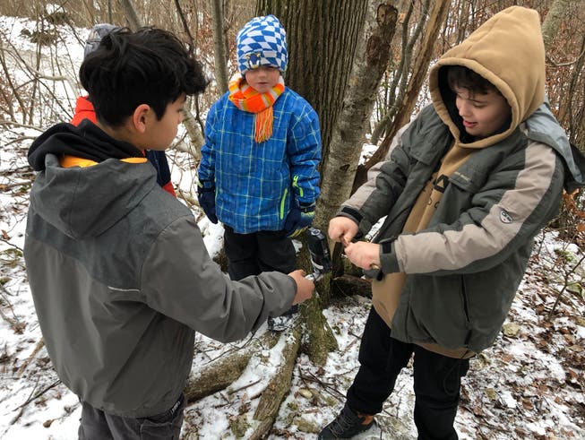 Für ihren Themenweg nehmen Schülerinnen und Schüler der Schule Densbüren unter anderem auch Geräusche im Wald auf, wie zum Beispiel das Knacken eines Zweiges.