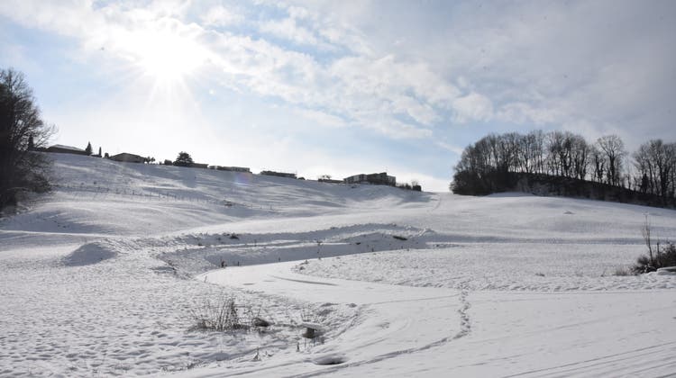 Das Gebiet Nordhalden in Herisau in diesem Winter. (Archivbild: Ramona Koller)