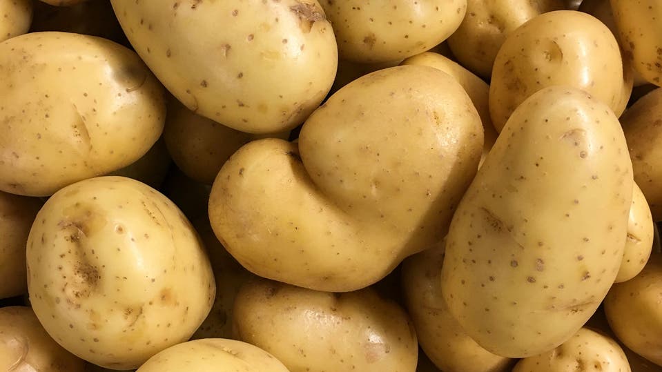 Selbst die Schalen werden zum Gedicht: Wieso so viele Spitzenköche plötzlich auf Kartoffeln setzen