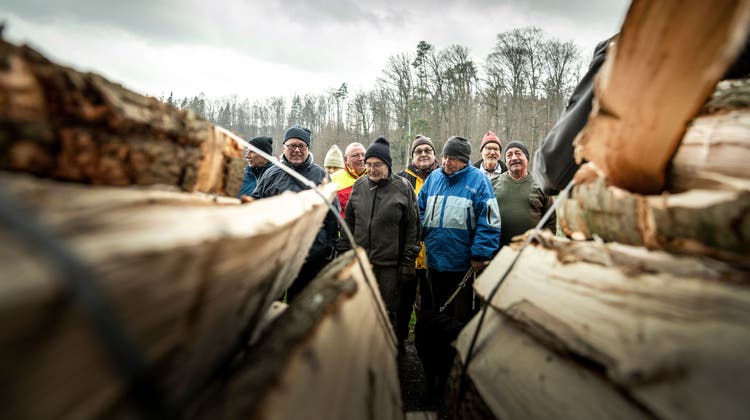 Holz bleibt keines liegen an der diesjährigen Holzgant in Neunforn. (Bild: Andrea Stalder)