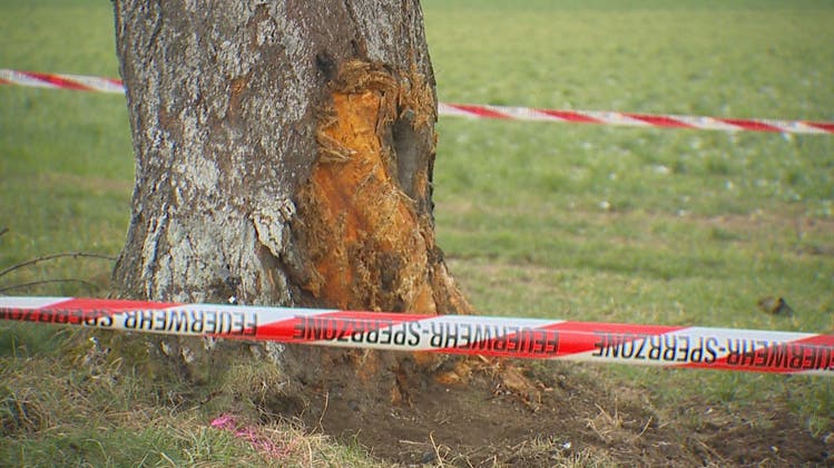 Von der Strasse abgekommen: Autofahrerin stirbt nach Kollision mit Baum
