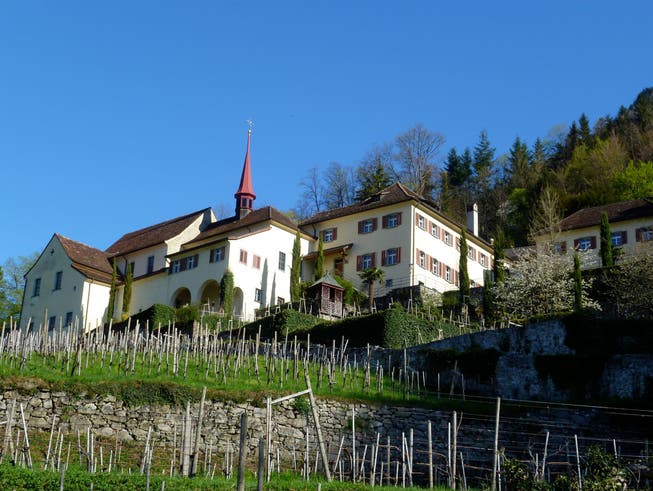 Das Kulturkloster Altdorf ist aus der regionalen Kulturszene nicht mehr wegzudenken.