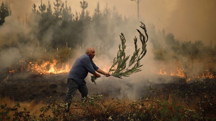 Verheerende Waldbrände in Chile. (Keystone)