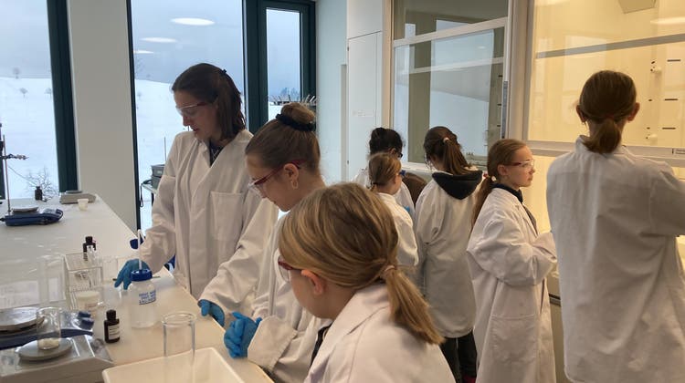 Das «MINT-Frauennetzwerk» der Kanti Menzingen fördert Mädchen und junge Frauen in naturwissenschaftlichen und technischen Studien- und Berufsfeldern; hier in Chemie. (Bild: PD / Gabrijela Pejic-Glisic)