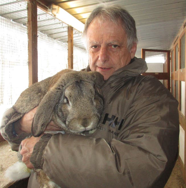 Hansruedi Messmer mit einem seiner Kaninchen.