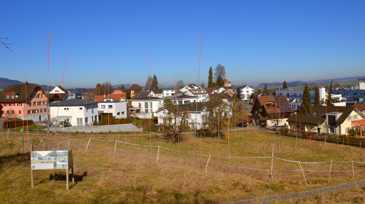 Auf der Schlössli Höchi können elf neue Häuser gebaut werden. (Bild: Dominik Weingartner (Beromünster, 15. Februar 2023))
