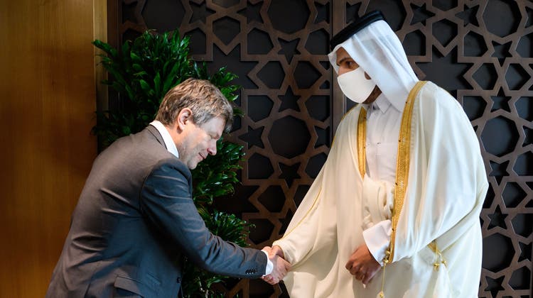 Grüner beim Öl-Scheich: Deutschlands Wirtschaftsminister Robert Habeck trifft Scheich Mohammed bin Hamad bin Kasim al-Abdullah Al Thani um über Gaslieferungen zu verhandeln (März 2022) (Bernd Von Jutrczenka / dpa)