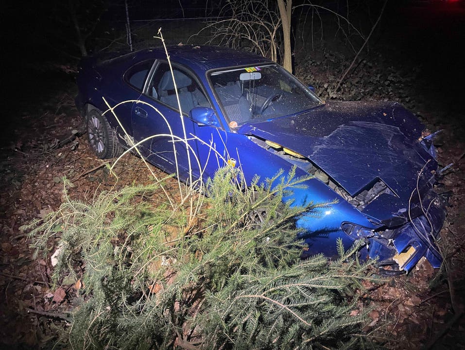 Suhr, 18. Februar: Nach einem Selbstunfall unter Alkoholeinfluss durchbrach ein Autofahrer einen Wildschutzzaun und verursachte beim Auto einen Totalschaden. 
