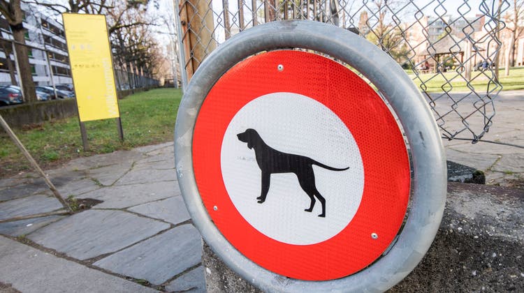 Über die Jahre gab es immer mehr Hundeverbote in städtischen Parkanlagen. (Bild: Nicole Nars-Zimmer)