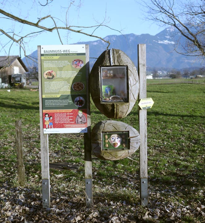 Unterwegs informieren Tafeln des Baumnuss-Wegs, den der Verein Nussdorf Frümsen initiiert hat, über verschiedene Themen rund um Nüsse.