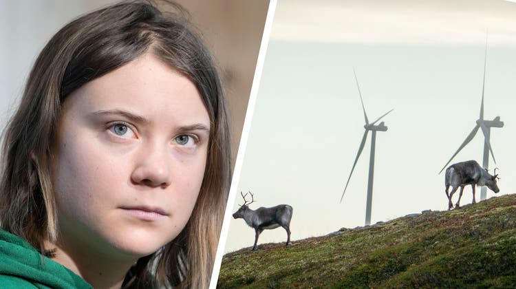 Klimaaktivistin Greta Thunberg kämpft gegen Windräder in Norwegen, weil diese die Rechte der Urbevölkerung einschränken sollen. (Markus Schreiber / AP)