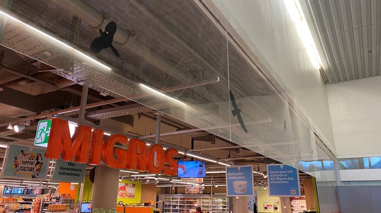 Mit diesen Acrylglas-Scheiben über dem Eingang versucht die Migros, Vögel von ihrem Supermarkt im Allmend-Sportgebäude fernzuhalten. (Bild: PD)
