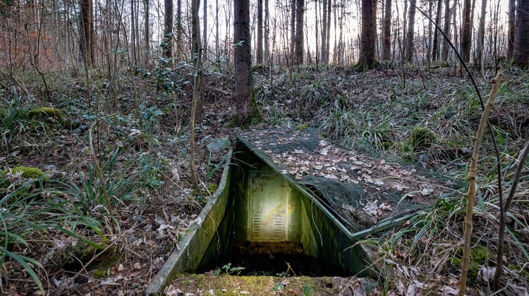 Fast unsichtbar: In der Mitte dieses Bildes steht ein kleiner Einstieg in einen Kugelbunker. (Kamin) (Bild: Raphael Rohner)