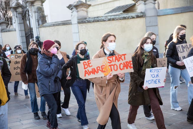 Demonstrierende an einem Luzerner Klimastreik im Jahr 2021.