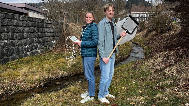 Die beiden Maturanden Suena Störi und Andri Hauser haben in fünf Bächen in Wattwil die Wasser- und Lebensraumqualität für wirbellose Lebewesen untersucht.