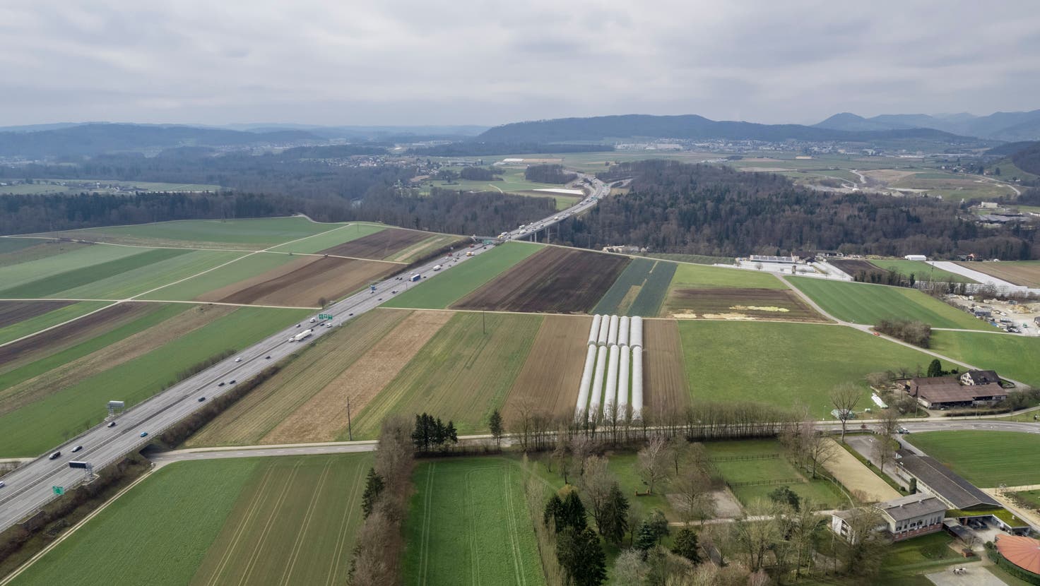 Die als Kiesabbaugebiet vorgesehene Fläche zwischen Autobahn, Mellinger- und Fislisbacherstrasse umfasst knapp 14 Hektare, was rund 19 Fussballfeldern entspricht. (Bild: Sandra Ardizzone)