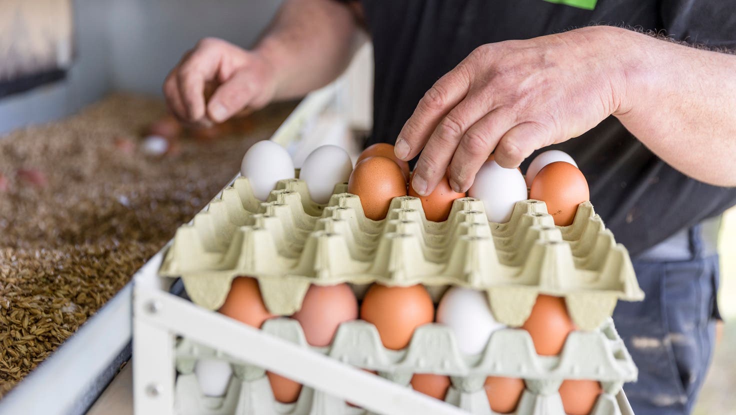 Weil der Vorrat an Schweizer Eiern knapp ist, werden über Ostern mehr Importeier in den Läden zu kaufen sein. (Bild: Sandra Ardizzone)
