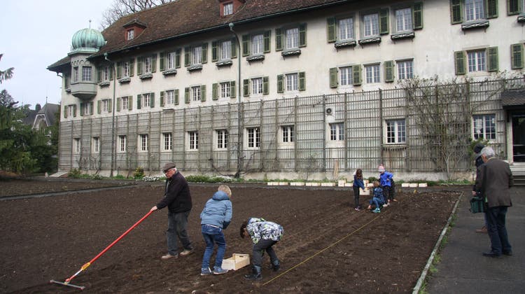 Ein Bild aus dem Jahr 2019. Schülerinnen und Schüler helfen im Garten des Kapuzinerklosters mit. (Bild: Wolfgang Wagmann)