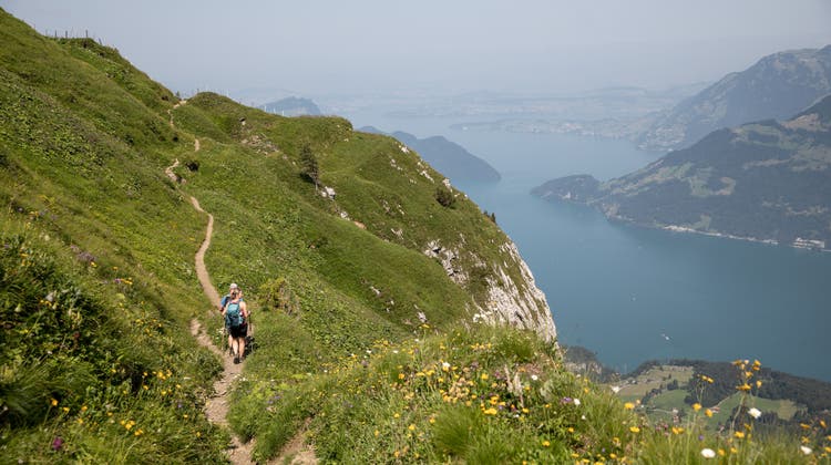 Wanderwege wie dieser auf dem Niederbauen ziehen die Menschen in die Berge. (Bild: Manuela Jans-Koch (Niederbauen, 23. 7. 2021))